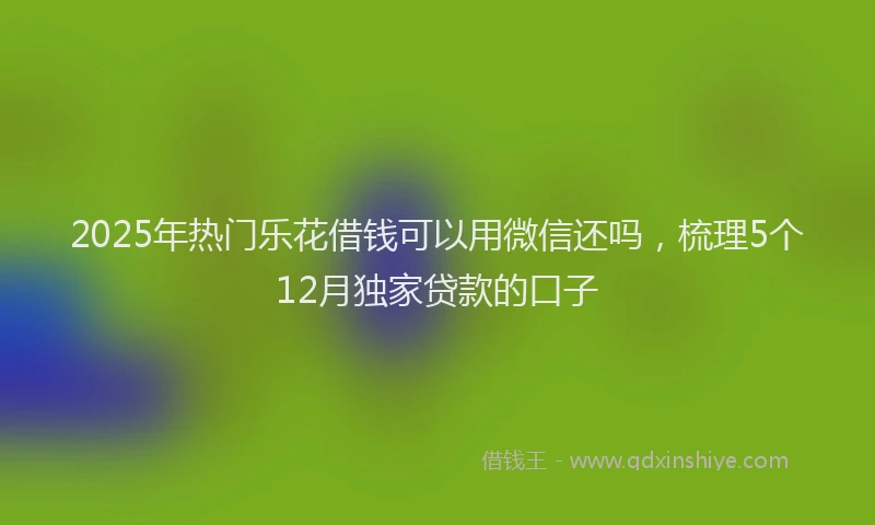 2025年热门乐花借钱可以用微信还吗，梳理5个12月独家贷款的口子