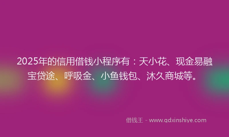 2025年的信用借钱小程序有：天小花、现金易融宝贷途、呼吸金、小鱼钱包、沐久商城等。