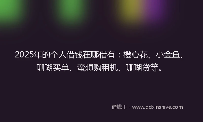 2025年的个人借钱在哪借有：橙心花、小金鱼、珊瑚买单、蛮想购租机、珊瑚贷等。