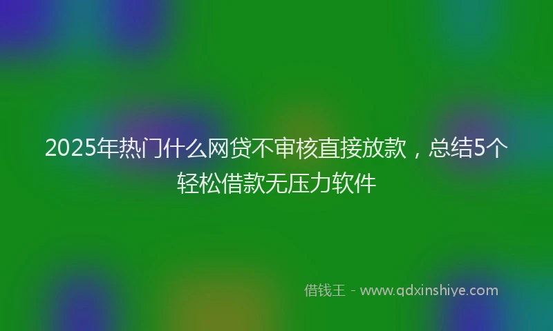 2025年热门什么网贷不审核直接放款，总结5个轻松借款无压力软件