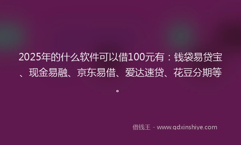 2025年的什么软件可以借100元有：钱袋易贷宝、现金易融、京东易借、爱达速贷、花豆分期等。