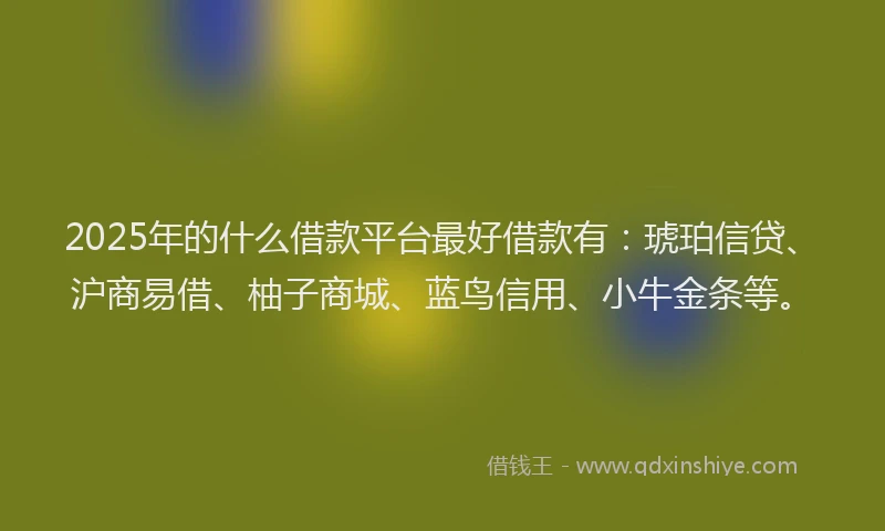 2025年的什么借款平台最好借款有：琥珀信贷、沪商易借、柚子商城、蓝鸟信用、小牛金条等。