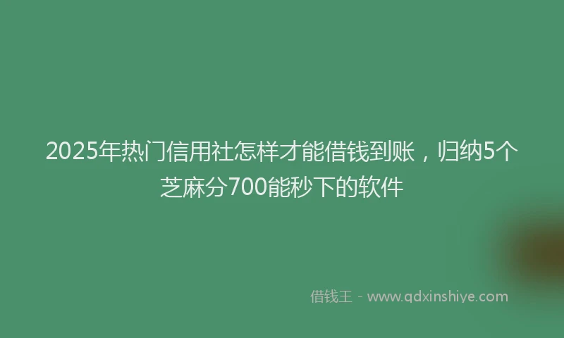 2025年热门信用社怎样才能借钱到账，归纳5个芝麻分700能秒下的软件