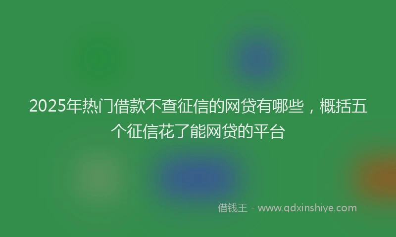 2025年热门借款不查征信的网贷有哪些，概括五个征信花了能网贷的平台