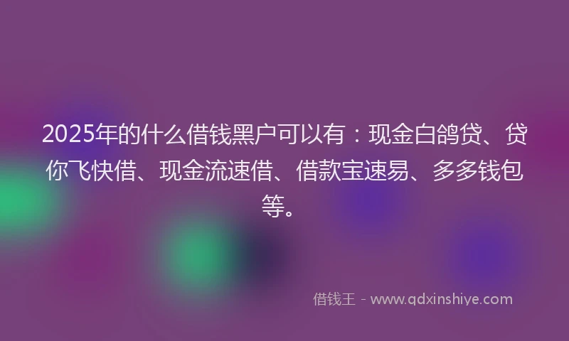 2025年的什么借钱黑户可以有：现金白鸽贷、贷你飞快借、现金流速借、借款宝速易、多多钱包等。