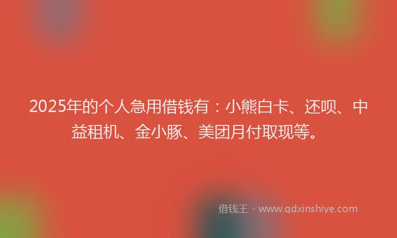 2025年的个人急用借钱有：小熊白卡、还呗、中益租机、金小豚、美团月付取现等。