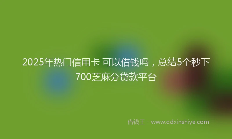 2025年热门信用卡 可以借钱吗，总结5个秒下700芝麻分贷款平台