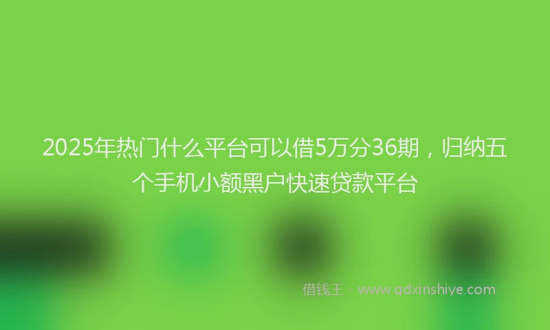 2025年热门什么平台可以借5万分36期，归纳五个手机小额黑户快速贷款平台