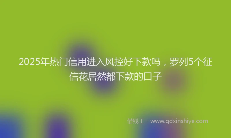 2025年热门信用进入风控好下款吗，罗列5个征信花居然都下款的口子