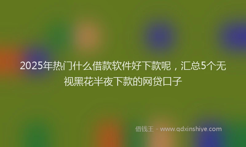 2025年热门什么借款软件好下款呢，汇总5个无视黑花半夜下款的网贷口子