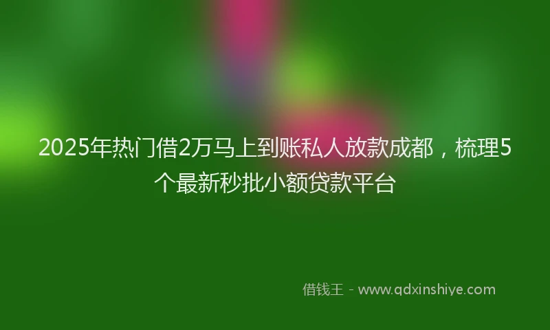 2025年热门借2万马上到账私人放款成都，梳理5个最新秒批小额贷款平台