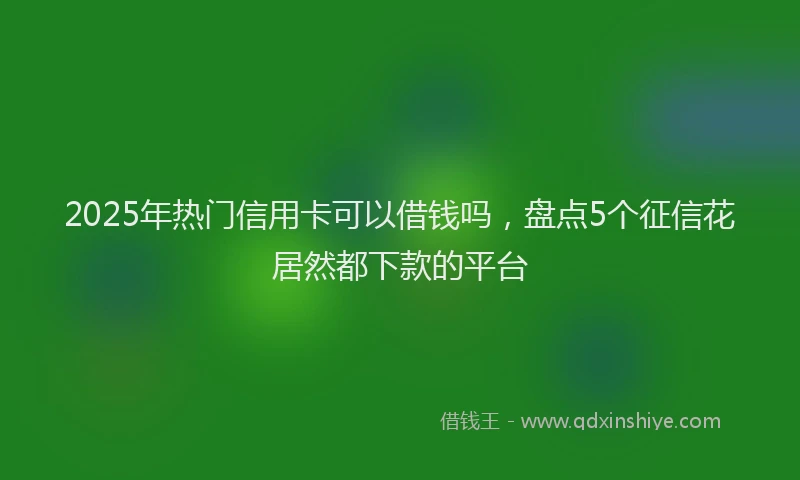 2025年热门信用卡可以借钱吗，盘点5个征信花居然都下款的平台