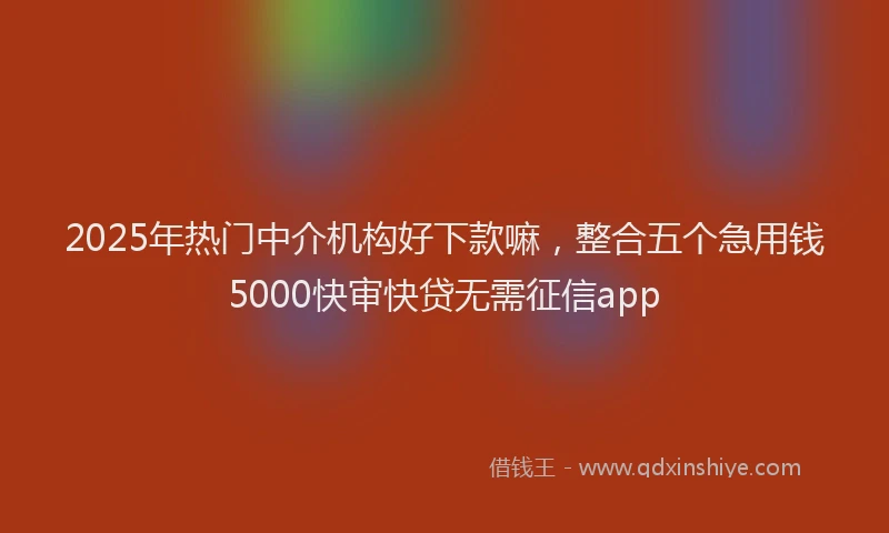 2025年热门中介机构好下款嘛，整合五个急用钱5000快审快贷无需征信app