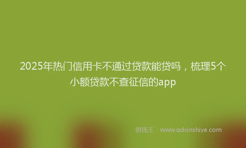 2025年热门信用卡不通过贷款能贷吗，梳理5个小额贷款不查征信的app