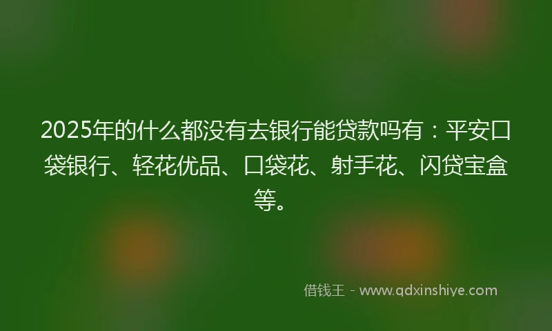 2025年的什么都没有去银行能贷款吗有：平安口袋银行、轻花优品、口袋花、射手花、闪贷宝盒等。