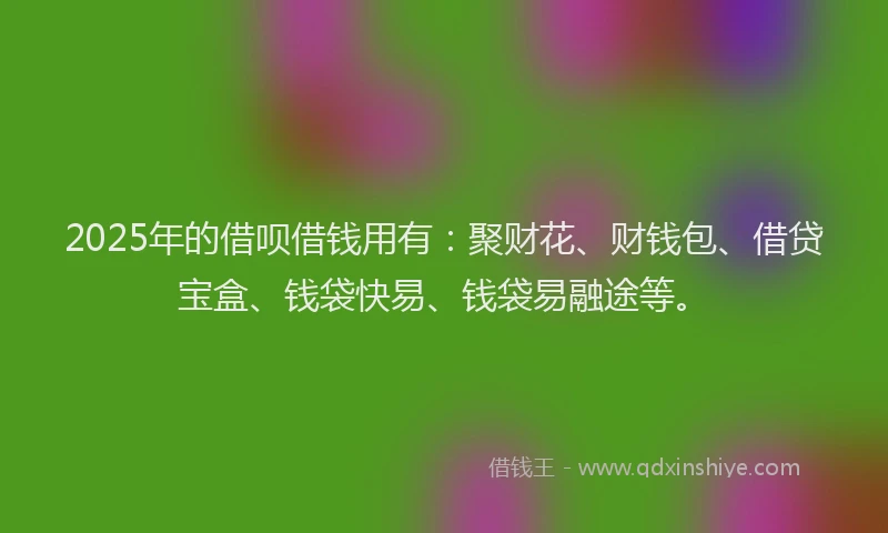 2025年的借呗借钱用有：聚财花、财钱包、借贷宝盒、钱袋快易、钱袋易融途等。