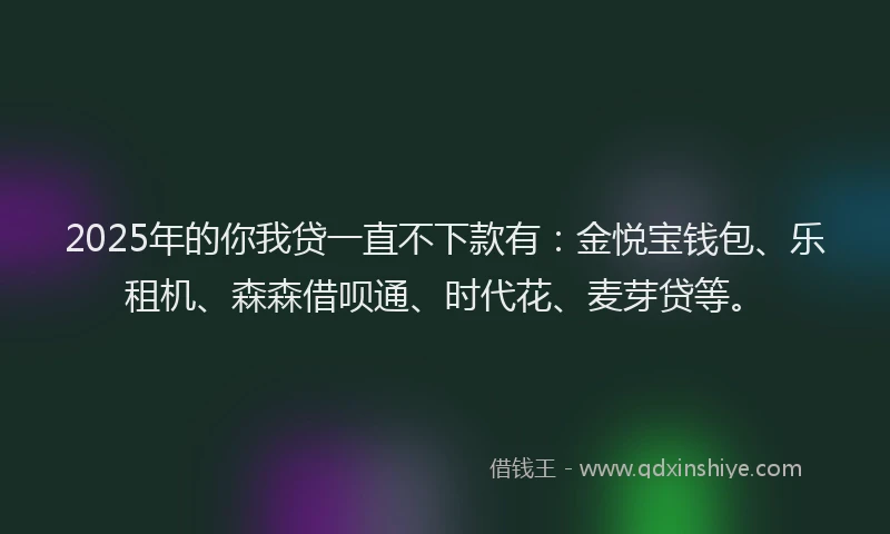 2025年的你我贷一直不下款有：金悦宝钱包、乐租机、森森借呗通、时代花、麦芽贷等。