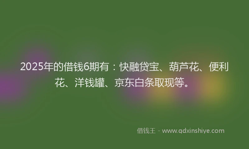 2025年的借钱6期有：快融贷宝、葫芦花、便利花、洋钱罐、京东白条取现等。