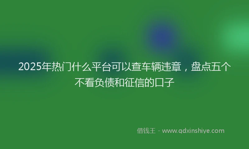 2025年热门什么平台可以查车辆违章，盘点五个不看负债和征信的口子