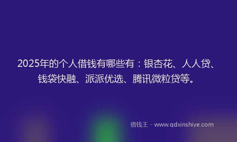 2025年的个人借钱有哪些有：银杏花、人人贷、钱袋快融、派派优选、腾讯微粒贷等。