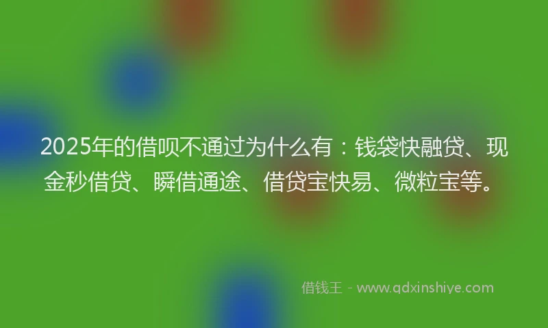 2025年的借呗不通过为什么有：钱袋快融贷、现金秒借贷、瞬借通途、借贷宝快易、微粒宝等。