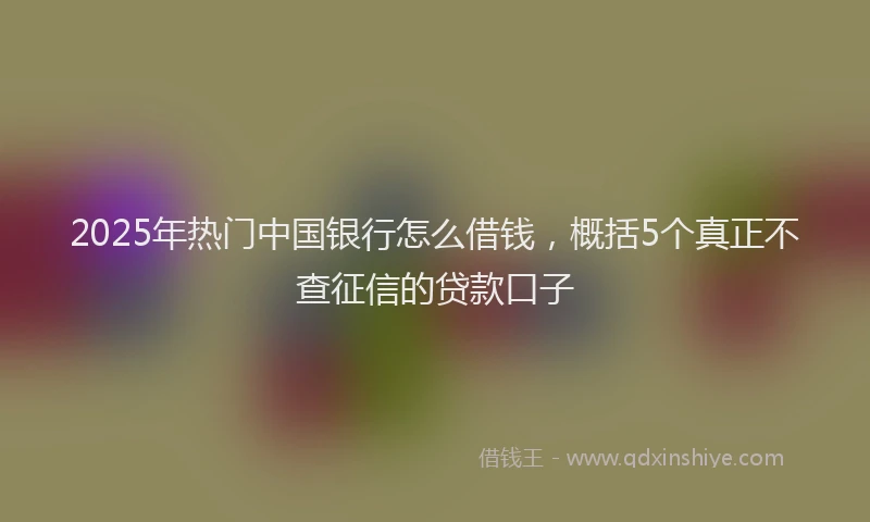 2025年热门中国银行怎么借钱，概括5个真正不查征信的贷款口子