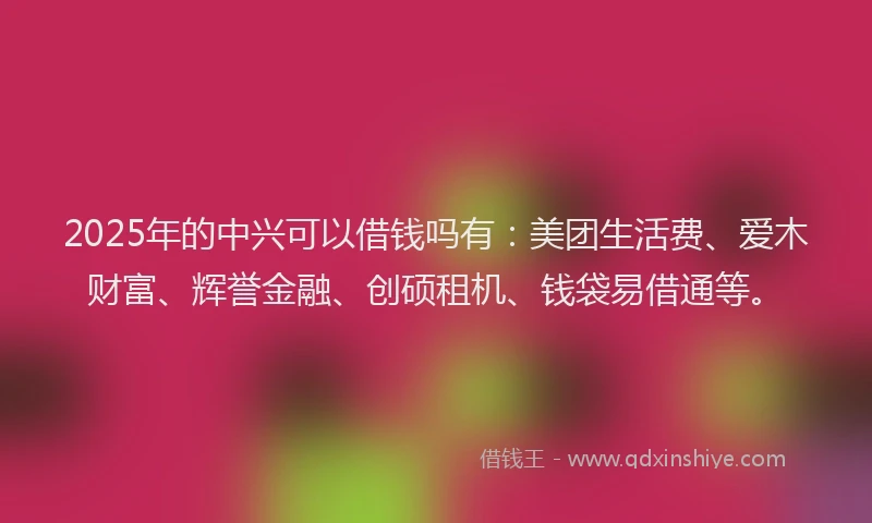 2025年的中兴可以借钱吗有：美团生活费、爱木财富、辉誉金融、创硕租机、钱袋易借通等。