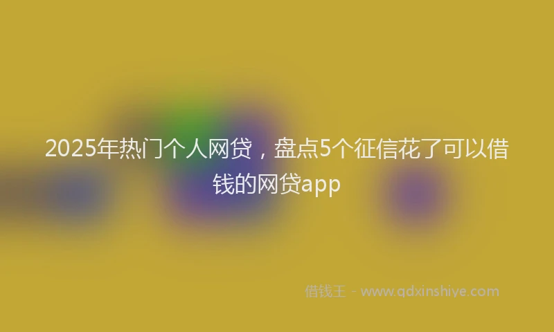 2025年热门个人网贷，盘点5个征信花了可以借钱的网贷app