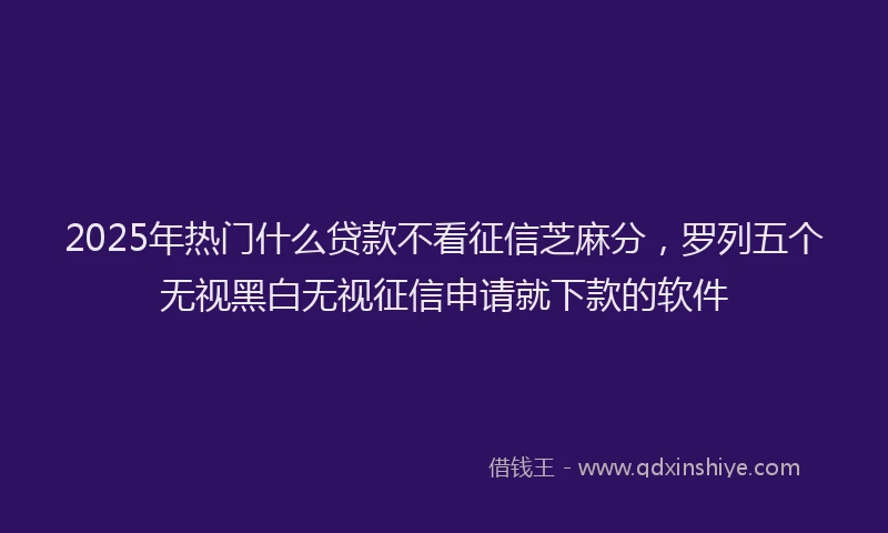 2025年热门什么贷款不看征信芝麻分，罗列五个无视黑白无视征信申请就下款的软件