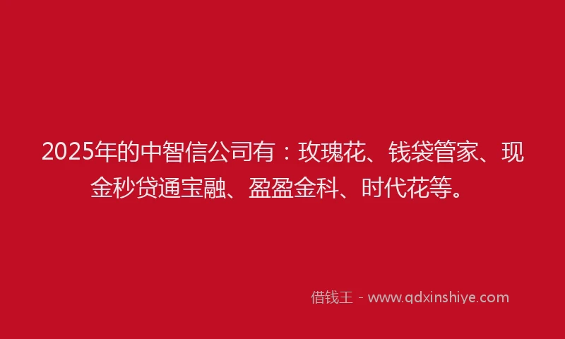 2025年的中智信公司有：玫瑰花、钱袋管家、现金秒贷通宝融、盈盈金科、时代花等。