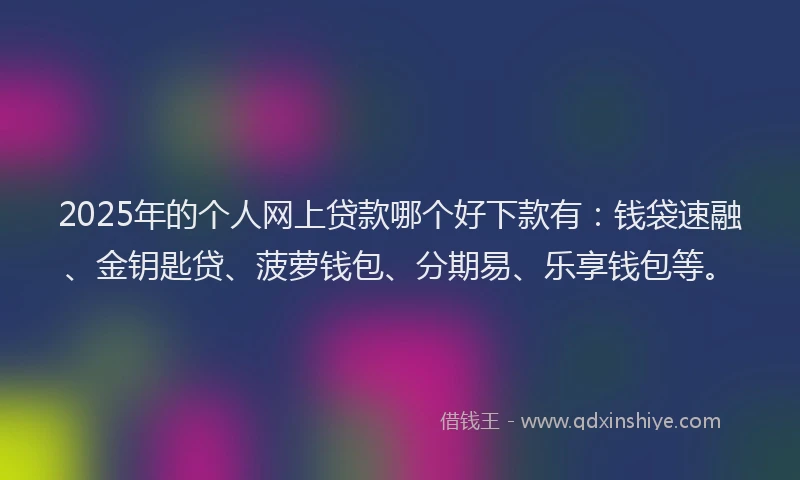 2025年的个人网上贷款哪个好下款有：钱袋速融、金钥匙贷、菠萝钱包、分期易、乐享钱包等。
