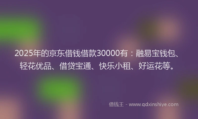 2025年的京东借钱借款30000有：融易宝钱包、轻花优品、借贷宝通、快乐小租、好运花等。
