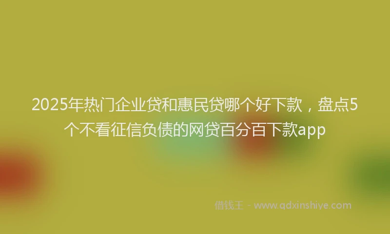 2025年热门企业贷和惠民贷哪个好下款，盘点5个不看征信负债的网贷百分百下款app