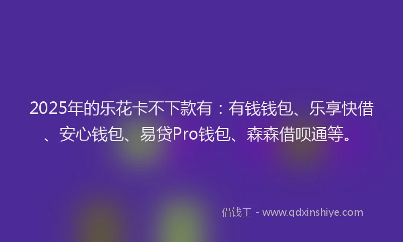 2025年的乐花卡不下款有：有钱钱包、乐享快借、安心钱包、易贷Pro钱包、森森借呗通等。