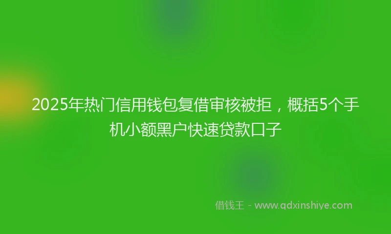 2025年热门信用钱包复借审核被拒，概括5个手机小额黑户快速贷款口子