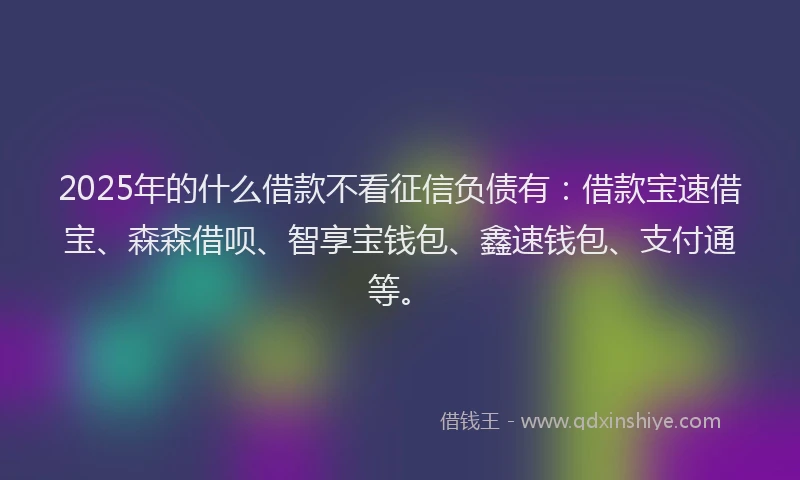2025年的什么借款不看征信负债有：借款宝速借宝、森森借呗、智享宝钱包、鑫速钱包、支付通等。