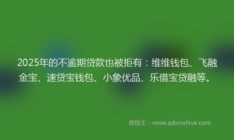 2025年的不逾期贷款也被拒有:维维钱包、飞融金宝、速贷宝钱包、小象优品、乐借宝贷融等。