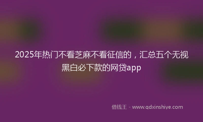 2025年热门不看芝麻不看征信的，汇总五个无视黑白必下款的网贷app