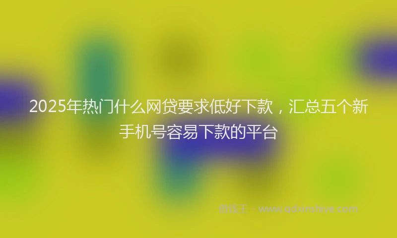 2025年热门什么网贷要求低好下款，汇总五个新手机号容易下款的平台
