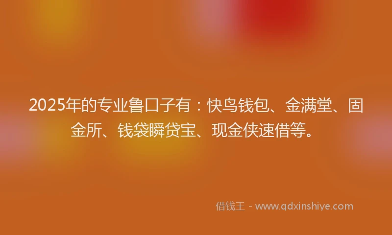 2025年的专业鲁口子有：快鸟钱包、金满堂、固金所、钱袋瞬贷宝、现金侠速借等。