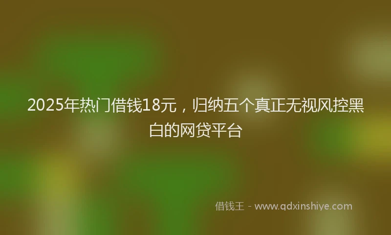 2025年热门借钱18元，归纳五个真正无视风控黑白的网贷平台