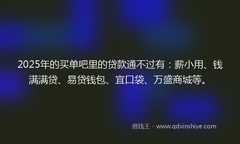 2025年的买单吧里的贷款通不过有：薪小用、钱满满贷、易贷钱包、宜口袋、万盛商城等。