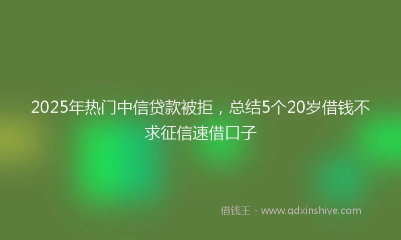 2025年热门中信贷款被拒,总结5个20岁借钱不求征信速借口子