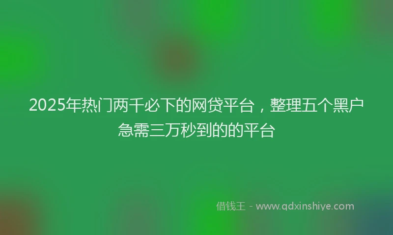 2025年热门两千必下的网贷平台，整理五个黑户急需三万秒到的的平台