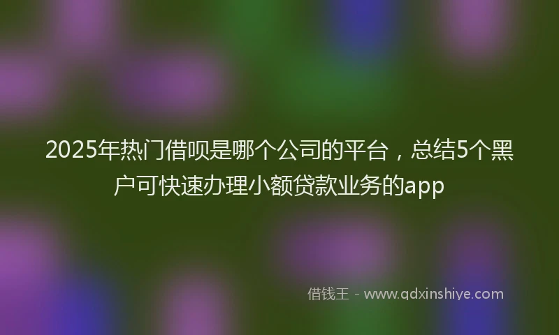 2025年热门借呗是哪个公司的平台，总结5个黑户可快速办理小额贷款业务的app