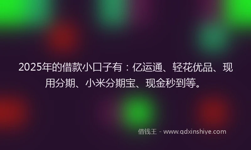 2025年的借款小口子有：亿运通、轻花优品、现用分期、小米分期宝、现金秒到等。
