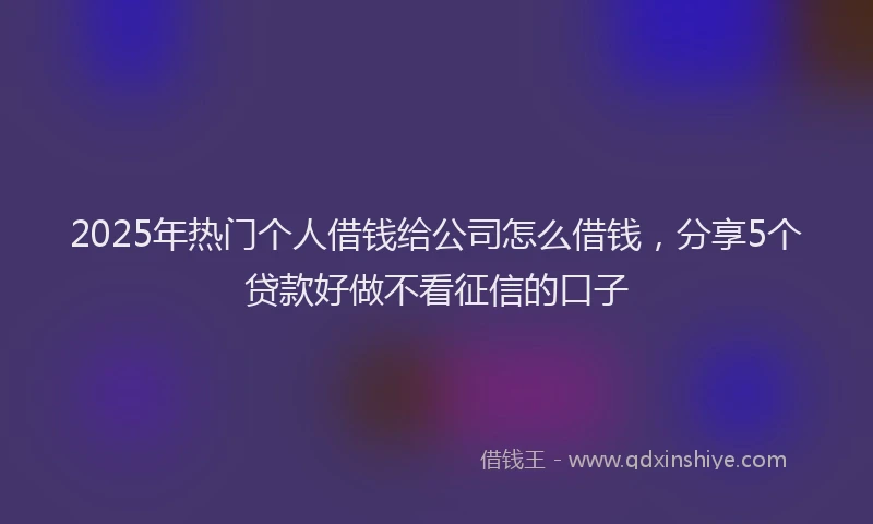 2025年热门个人借钱给公司怎么借钱，分享5个贷款好做不看征信的口子