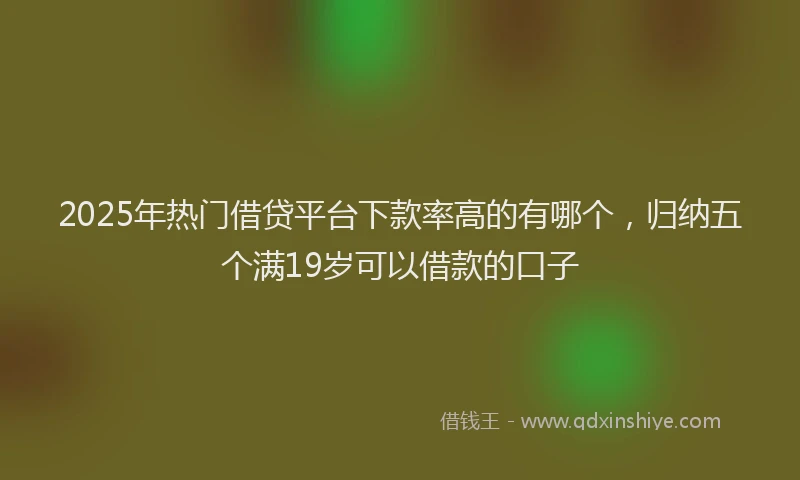 2025年热门借贷平台下款率高的有哪个，归纳五个满19岁可以借款的口子