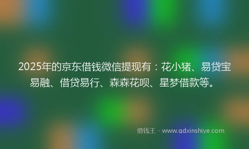 2025年的京东借钱微信提现有：花小猪、易贷宝易融、借贷易行、森森花呗、星梦借款等。