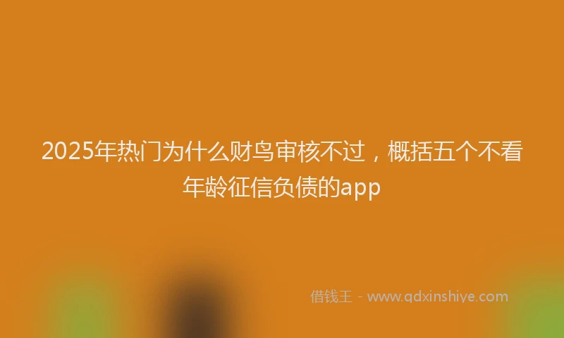 2025年热门为什么财鸟审核不过，概括五个不看年龄征信负债的app